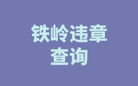 铁岭违章查询