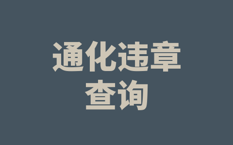 通化违章查询