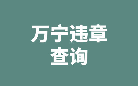 万宁违章查询