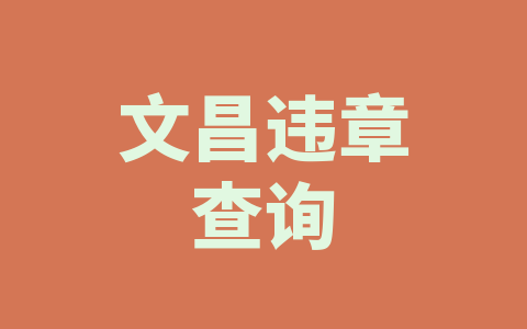 文昌违章查询