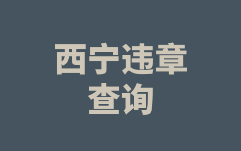 西宁违章查询