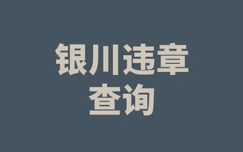 银川违章查询