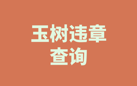 玉树违章查询
