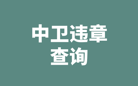 中卫违章查询
