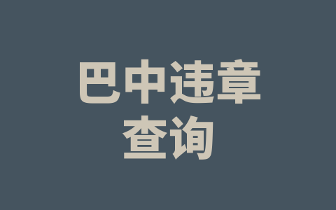 巴中违章查询
