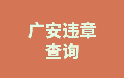 广安违章查询