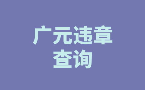 广元违章查询