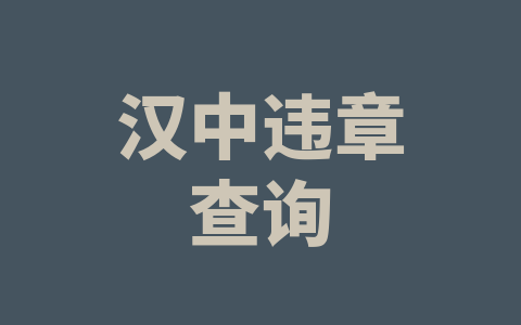 汉中违章查询