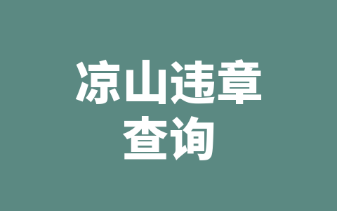 凉山违章查询
