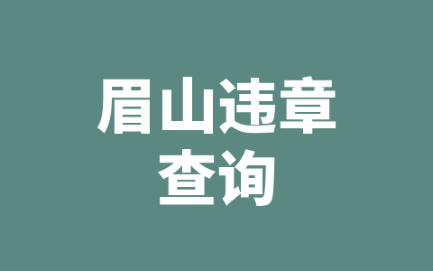眉山违章查询