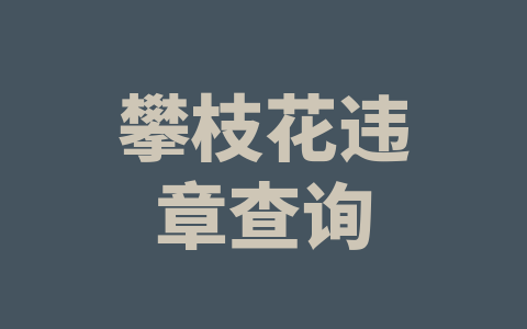 攀枝花违章查询