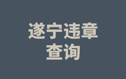 遂宁违章查询