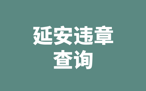 延安违章查询