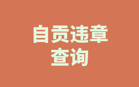 自贡违章查询