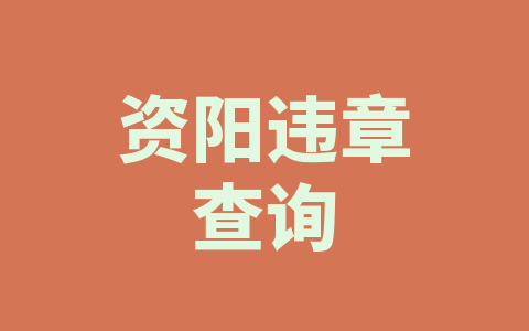 资阳违章查询